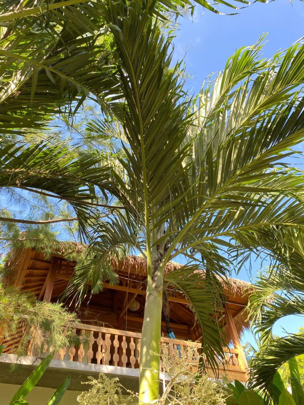 Palm Green Hotel Kuta  Exteriör bild